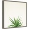 Succulent Simplicity I Neutral by Felicity Bradley 16-in. W x 16-in. H. Canvas Wall Art Print Framed in Grey